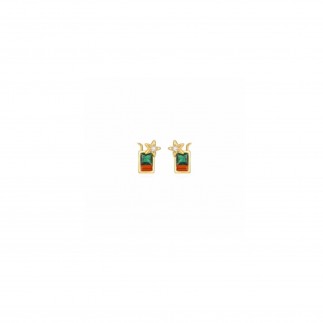 copy of Watermelon shaped stud earrings