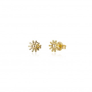 Pendientes Sol