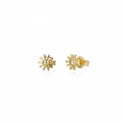 copy of Watermelon shaped stud earrings