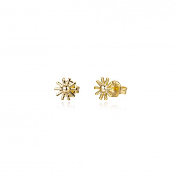 copy of Watermelon shaped stud earrings