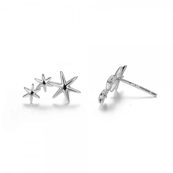Pendientes estrella de mar