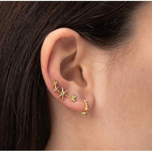 Starfish stud earrings